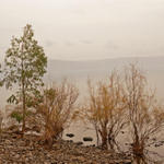 Вид на море Галилейское