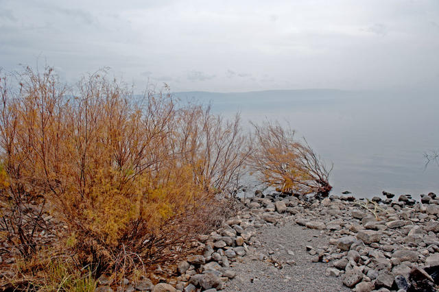 Вид на море Галилейское