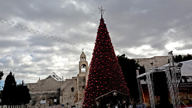 Площадь Рождества Христова в Вифлееме, украшенная Рождественской ёлкой