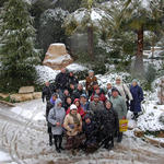 В снежную бурю с паломниками из Петербурга в Иерусалиме. 19 февраля 2008 г.
