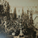 Угощенье фруктами и вином на торжества 21 мая 1907 года